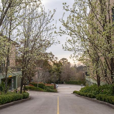 Leisure Inn Spires Leura Exterior photo